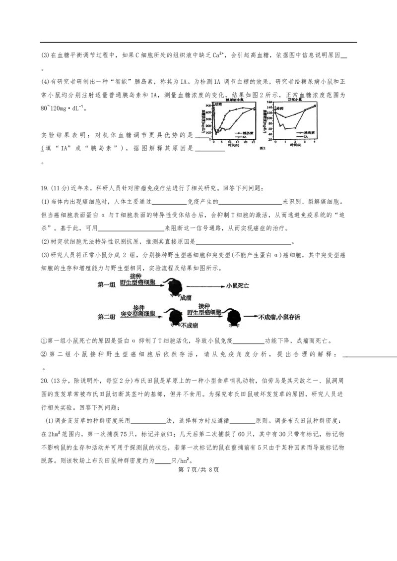 广东省汕头市潮阳区潮阳实验学校2025-2026学年高二上学期12月月考生物试题（含答案）_2024-2025高二（7-7月题库）_2026年1月高二