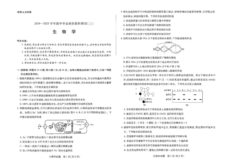 扫描件_生物_2024-2025高三（6-6月题库）_2024年11月试卷_11132025届河南天一大联考高三阶段性检测（三）_2025届河南天一大联考高三阶段性检测（三）生物试题