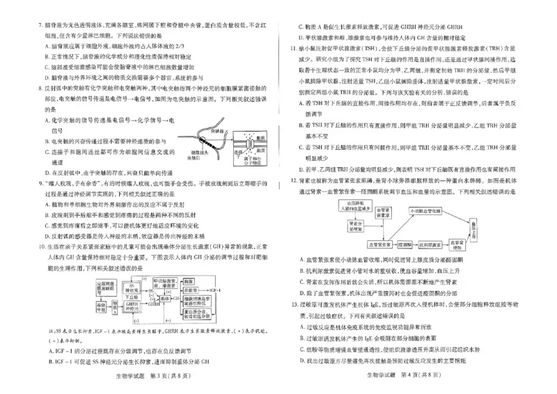 扫描件_生物_2024-2025高三（6-6月题库）_2024年11月试卷_11132025届河南天一大联考高三阶段性检测（三）_2025届河南天一大联考高三阶段性检测（三）生物试题