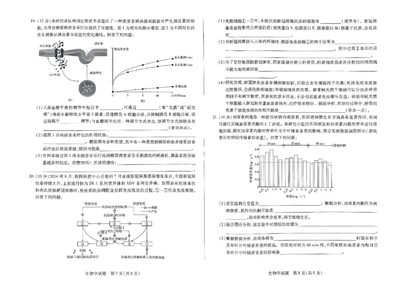 扫描件_生物_2024-2025高三（6-6月题库）_2024年11月试卷_11132025届河南天一大联考高三阶段性检测（三）_2025届河南天一大联考高三阶段性检测（三）生物试题