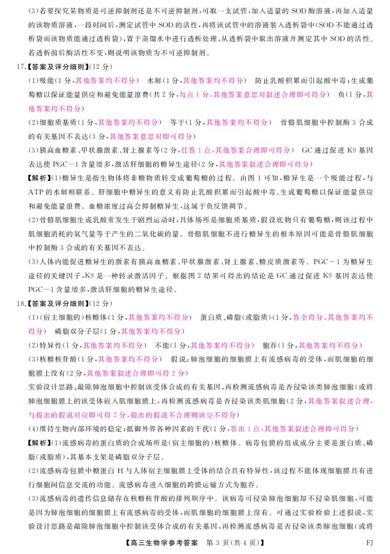参考答案_2024-2025高三（6-6月题库）_2024年11月试卷_1121福建省2024-2025学年金科大联考高三11月测评（全科）_福建省2024-2025学年金科大联考高三11月测评生物试题