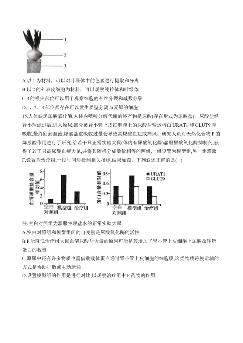 专题13实验与探究（选择题）&mdash;&mdash;高考生物学模块考分练新高考版（含解析）_2024-2025高三（6-6月题库）_2026年1月高三