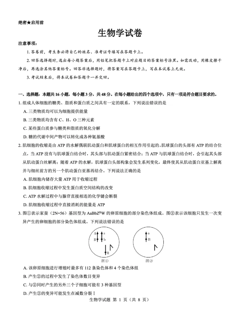 名校教研联盟2025届高三12月联考生物_2024-2025高三（6-6月题库）_2024年12月试卷_1227（西北卷）名校教研联盟2025届高三12月联考