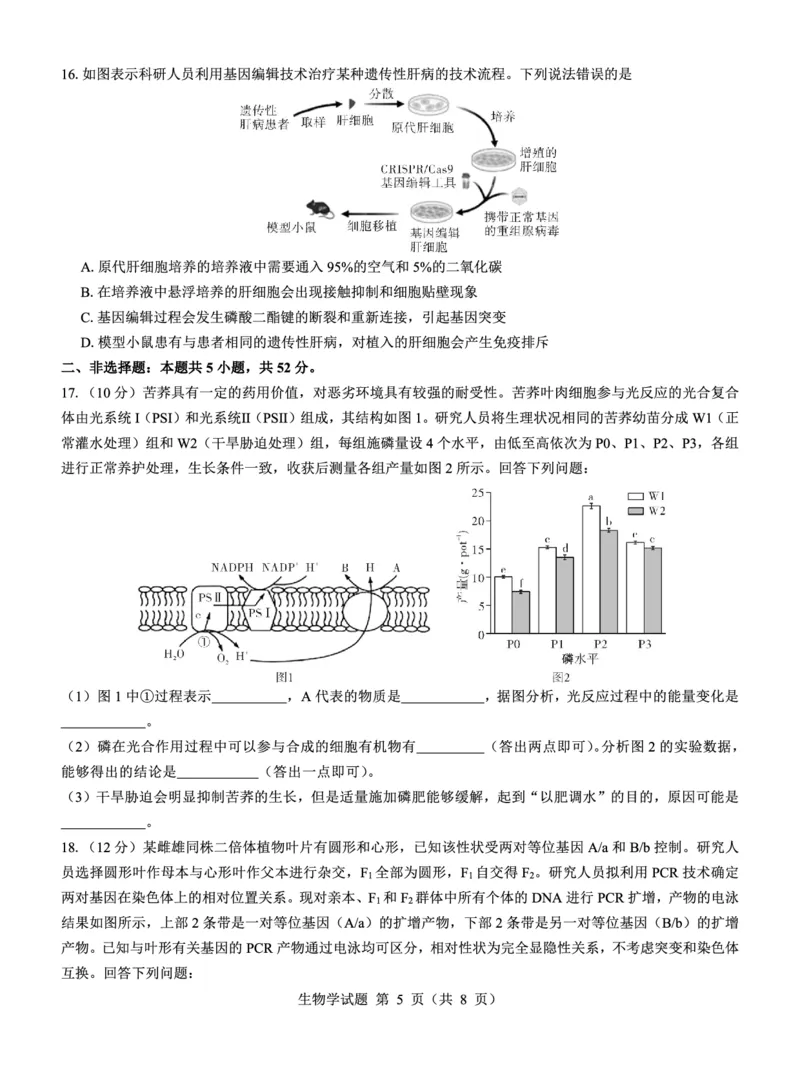 名校教研联盟2025届高三12月联考生物_2024-2025高三（6-6月题库）_2024年12月试卷_1227（西北卷）名校教研联盟2025届高三12月联考