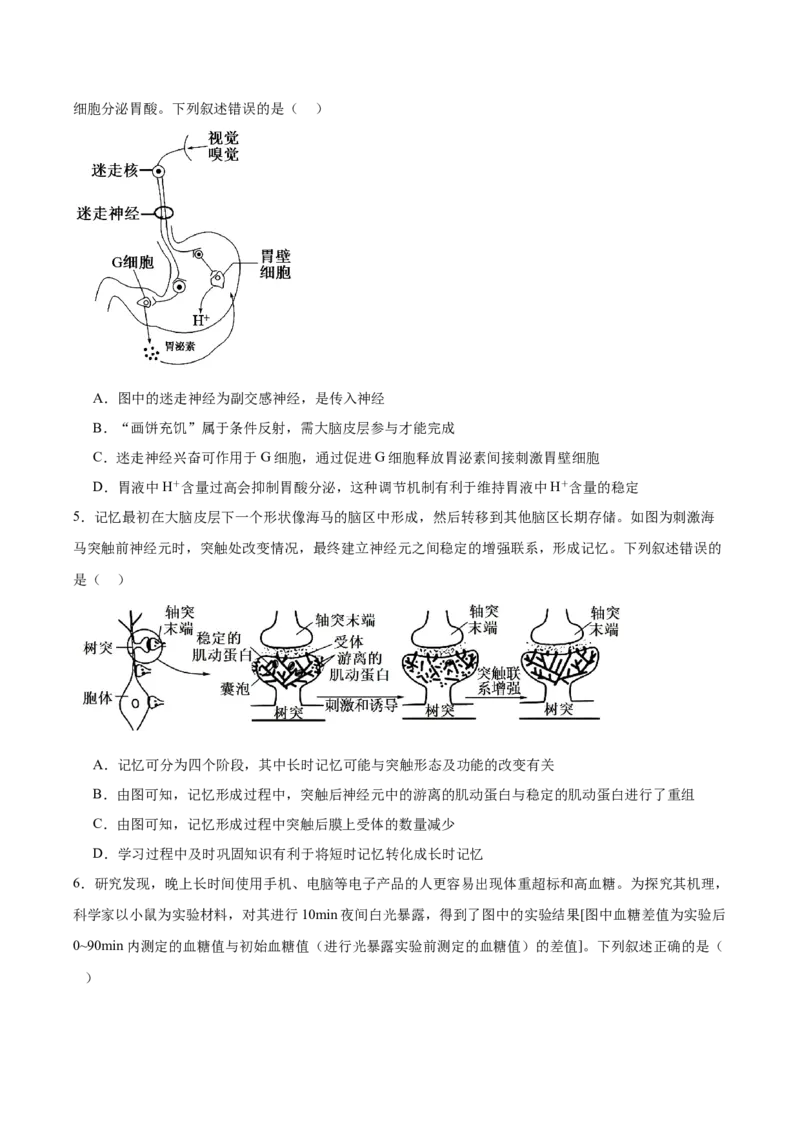 安徽省县中联盟2025-2026学年高二上学期12月质量检测生物试卷（含答案）_2024-2025高二（7-7月题库）_2026年1月高二_260115安徽省县中联盟2025-2026学年高二上学期12月月考