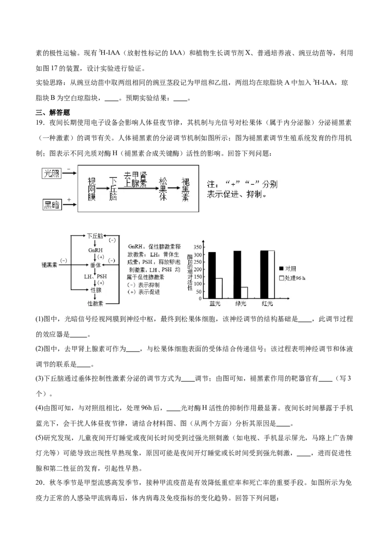 安徽省县中联盟2025-2026学年高二上学期12月质量检测生物试卷（含答案）_2024-2025高二（7-7月题库）_2026年1月高二_260115安徽省县中联盟2025-2026学年高二上学期12月月考