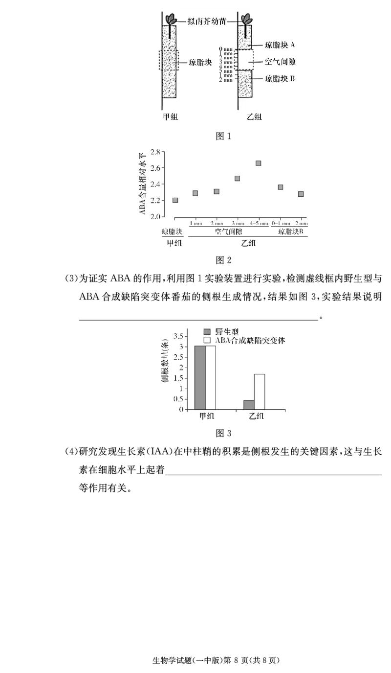 湖南省长沙市第一中学2023-2024学年高三上学期月考卷（四）生物(1)_2023年11月_01每日更新_22号_2024届湖南省长沙市第一中学高三上学期月考卷（四）