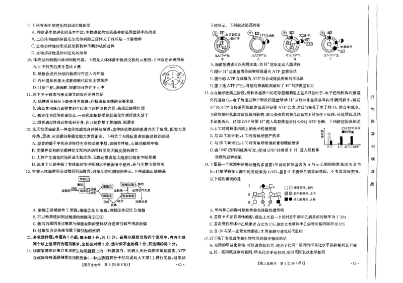 河北省保定市示范高中2024-2025学年高三上学期11月期中生物_2024-2025高三（6-6月题库）_2024年11月试卷_11272025届河北省高三11月金太阳期中联考_2025届河北高三11月金太阳期中联考生物