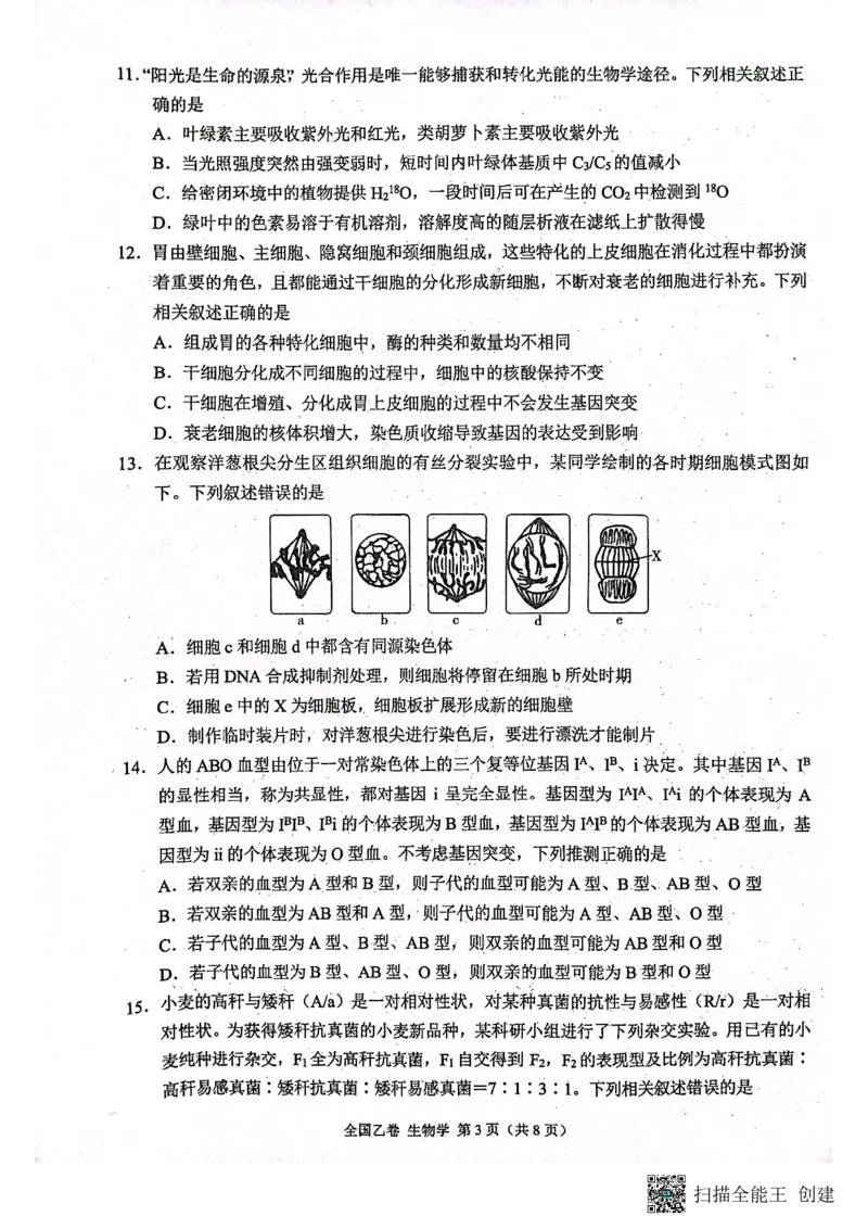 （预约首发）2024届陕西省安康市高新中学高三10月月考生物试题（全国乙卷）(1)_2023年11月_0211月合集_2024届高三上学期10月大联考(全国乙卷)_2024届高三上学期10月大联考(全国乙卷)生物