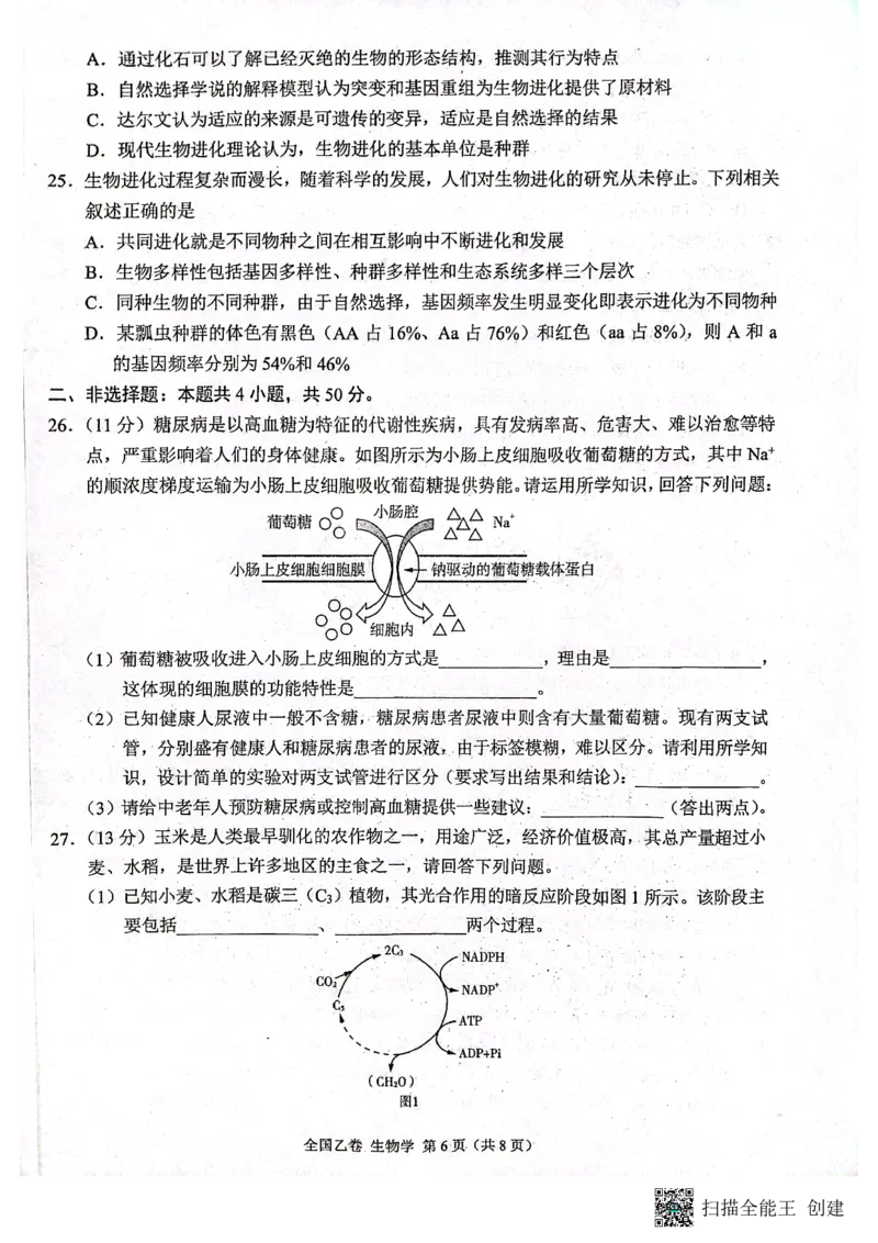 （预约首发）2024届陕西省安康市高新中学高三10月月考生物试题（全国乙卷）(1)_2023年11月_0211月合集_2024届高三上学期10月大联考(全国乙卷)_2024届高三上学期10月大联考(全国乙卷)生物
