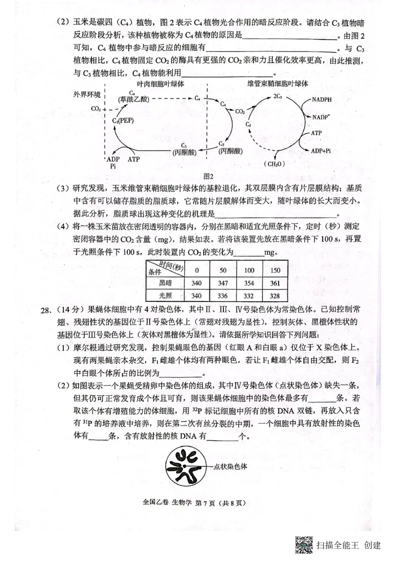 （预约首发）2024届陕西省安康市高新中学高三10月月考生物试题（全国乙卷）(1)_2023年11月_0211月合集_2024届高三上学期10月大联考(全国乙卷)_2024届高三上学期10月大联考(全国乙卷)生物