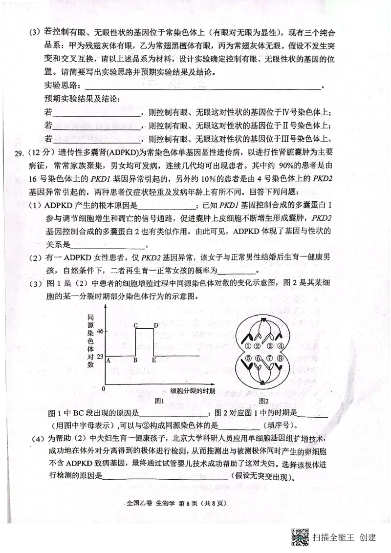 （预约首发）2024届陕西省安康市高新中学高三10月月考生物试题（全国乙卷）(1)_2023年11月_0211月合集_2024届高三上学期10月大联考(全国乙卷)_2024届高三上学期10月大联考(全国乙卷)生物