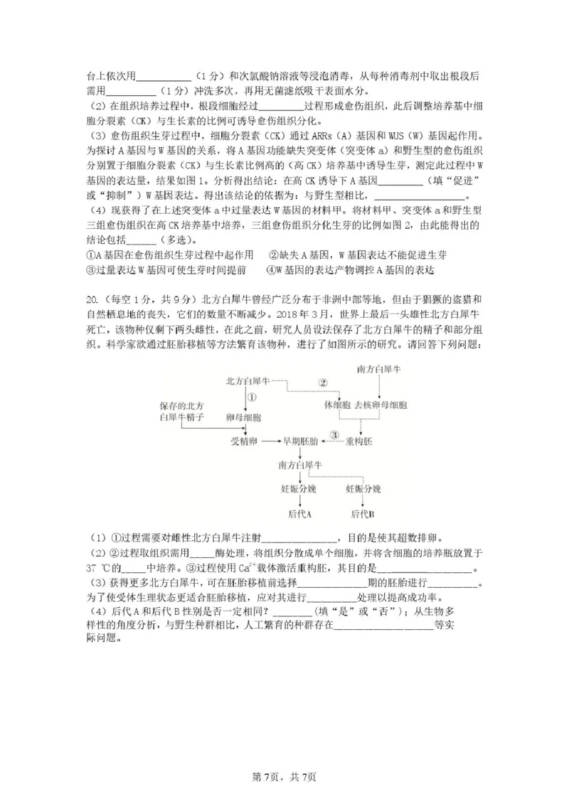 安徽省合肥市普通高中六校联盟2024-2025学年高二下学期4月期中考试生物PDF版含答案_2024-2025高二（7-7月题库）_2025年05月试卷