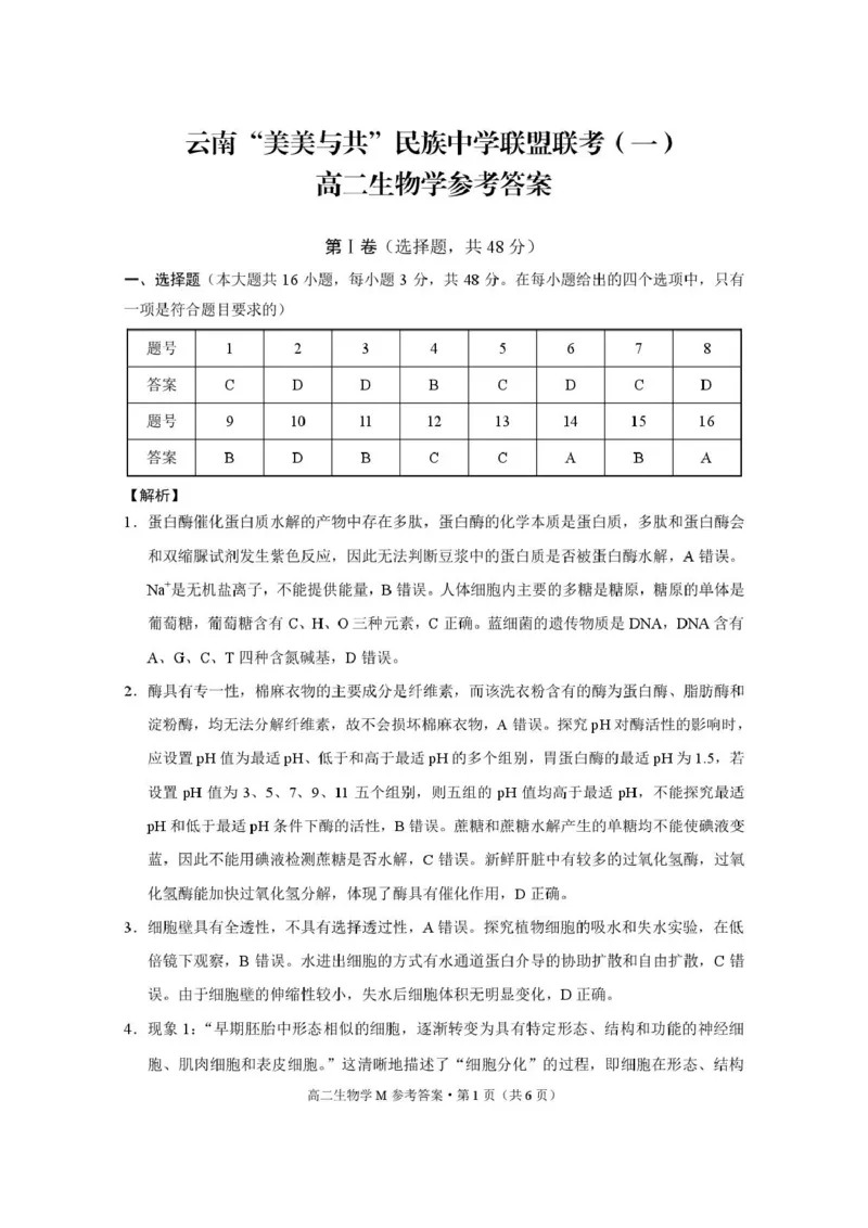 云南&ldquo;美美与共&rdquo;民族中学联盟高二联考（一）生物云南&ldquo;美美与共&rdquo;民族中学联盟联考（一）高二生物-答案_2025年10月高二试卷