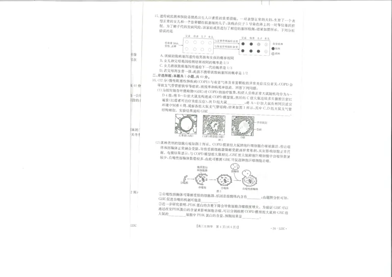 生物(1)_2023年11月_0211月合集_2024届福建省宁德市部分达标学校高三上学期期中质量检测（金太阳122C)_福建省宁德市部分达标学校2024届高三上学期期中质量检测（金太阳122C)生物