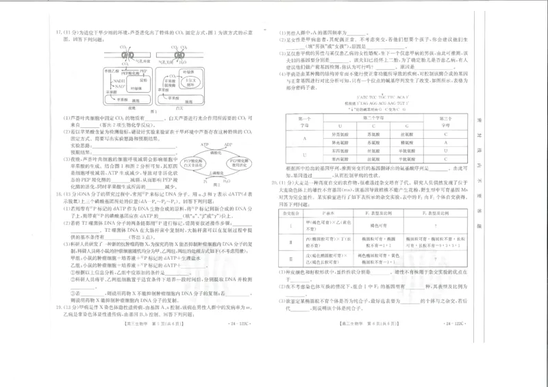 生物(1)_2023年11月_0211月合集_2024届福建省宁德市部分达标学校高三上学期期中质量检测（金太阳122C)_福建省宁德市部分达标学校2024届高三上学期期中质量检测（金太阳122C)生物