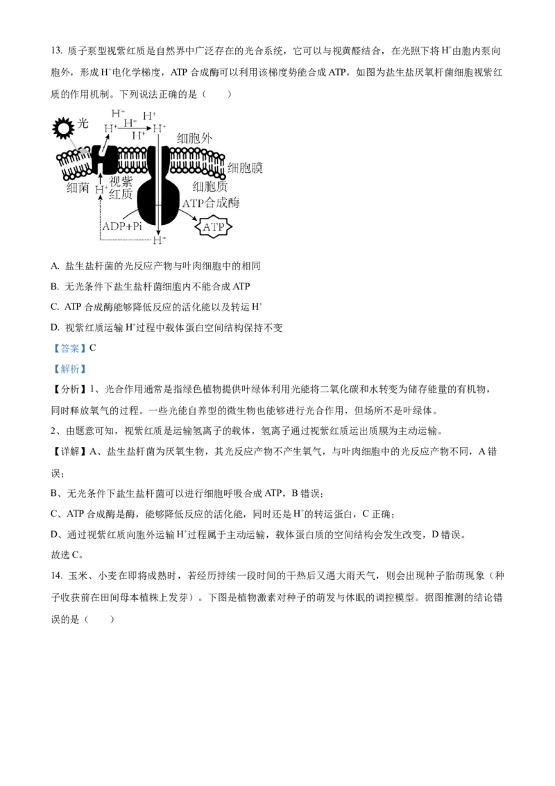 精品解析：广东省东莞市四中2023-2024学年高三10月月考生物试题（解析版）(1)_2023年11月_0211月合集_2024届广东省东莞市第四高级中学高三上学期10月月考