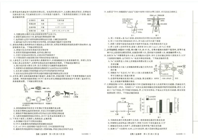 河南省新未来2023-2024学年高二下学期7月期末联考生物试题_2024-2025高二（7-7月题库）_2024年07月试卷_0707河南省金科新未来2024年7月高二期末质量检测试题及答案