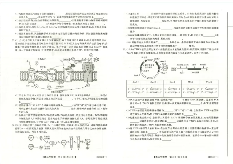 河南省新未来2023-2024学年高二下学期7月期末联考生物试题_2024-2025高二（7-7月题库）_2024年07月试卷_0707河南省金科新未来2024年7月高二期末质量检测试题及答案
