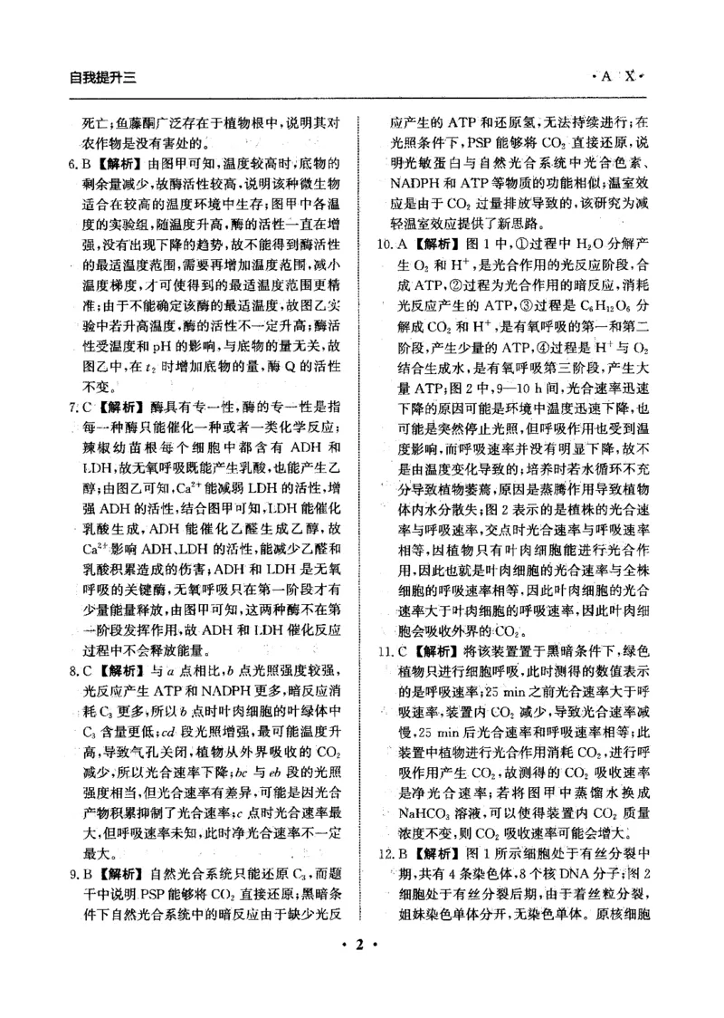 河北省衡水市冀州区河北冀州中学2024-2025学年高三上学期12月月考生物答案_2024-2025高三（6-6月题库）_2024年12月试卷