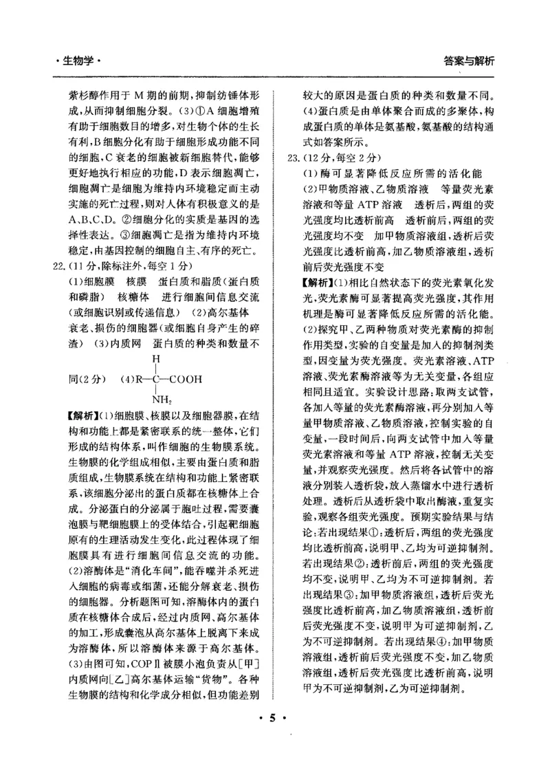 河北省衡水市冀州区河北冀州中学2024-2025学年高三上学期12月月考生物答案_2024-2025高三（6-6月题库）_2024年12月试卷