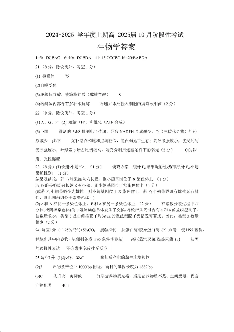 四川省成都市第七中学2024-2025学年高三上学期10月月考生物试题答案_2024-2025高三（6-6月题库）_2024年10月试卷_1011四川省成都市第七中学2024-2025学年高三上学期10月月考