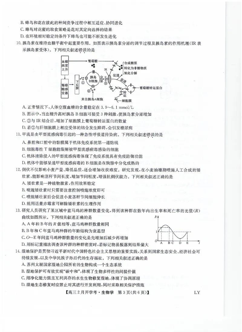 生物无答案_2024年2月_01每日更新_20号_2024届九师联盟高三下学期2月开学考试_九师联盟2024届高三下学期2月开学考试生物试题