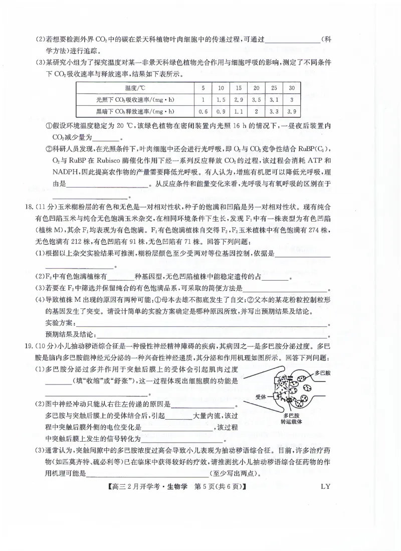 生物无答案_2024年2月_01每日更新_20号_2024届九师联盟高三下学期2月开学考试_九师联盟2024届高三下学期2月开学考试生物试题
