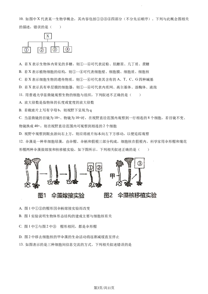 精品解析：新疆阿克苏市实验中学2023-2024学年高三上学期第三次月考生物试题（原卷版）(1)_2023年11月_0211月合集_2024届新疆阿克苏市实验中学高三上学期第三次月考