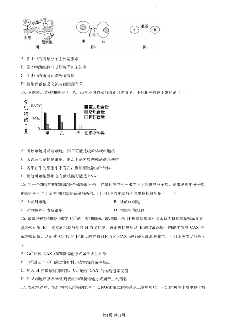 精品解析：新疆阿克苏市实验中学2023-2024学年高三上学期第三次月考生物试题（原卷版）(1)_2023年11月_0211月合集_2024届新疆阿克苏市实验中学高三上学期第三次月考