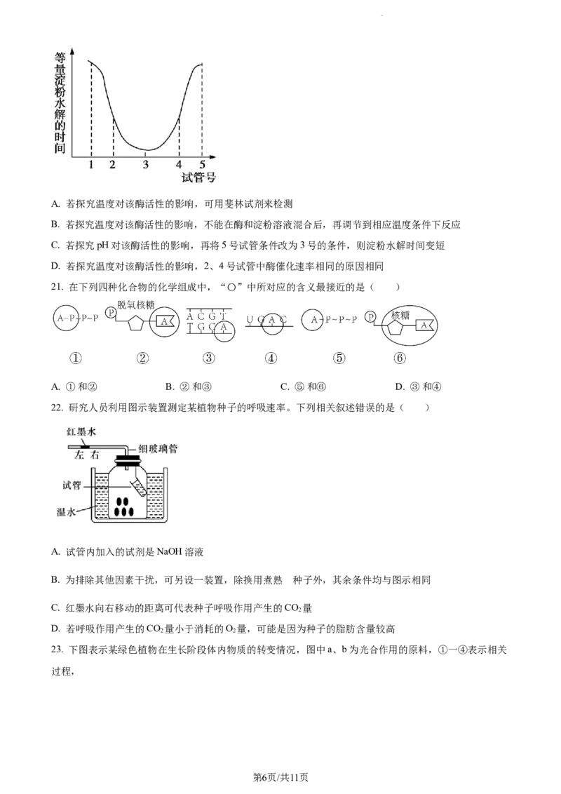 精品解析：新疆阿克苏市实验中学2023-2024学年高三上学期第三次月考生物试题（原卷版）(1)_2023年11月_0211月合集_2024届新疆阿克苏市实验中学高三上学期第三次月考