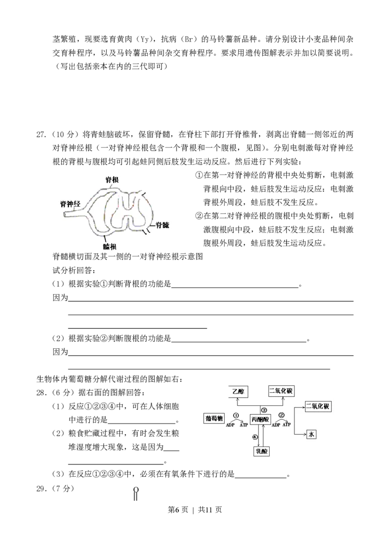 2003年浙江高考理综真题及答案_生物高考真题试卷_旧1990-2007&middot;高考生物真题_1990-2007&middot;高考生物真题&middot;PDF_2001-2007年各理综历年真题_浙江
