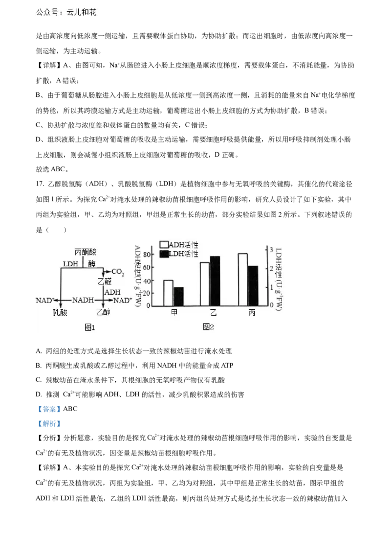 河南省新未来期末联考2023-2024学年高二下学期7月期末生物试题（解析版）_2024-2025高二（7-7月题库）_2024年07月试卷_0707河南省金科新未来2024年7月高二期末质量检测试题及答案