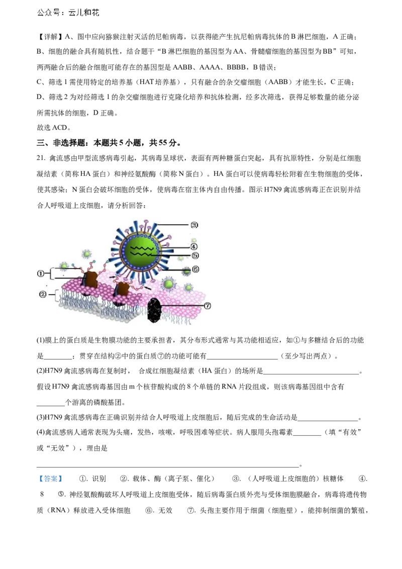 河南省新未来期末联考2023-2024学年高二下学期7月期末生物试题（解析版）_2024-2025高二（7-7月题库）_2024年07月试卷_0707河南省金科新未来2024年7月高二期末质量检测试题及答案