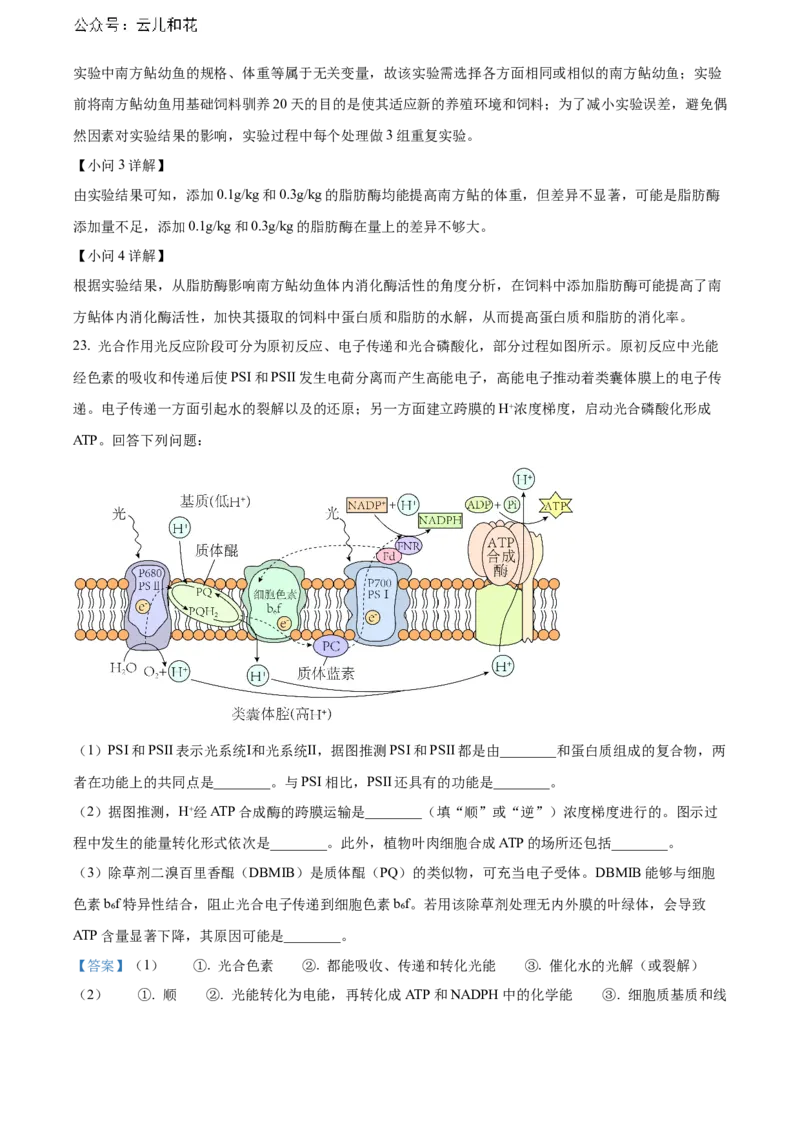 河南省新未来期末联考2023-2024学年高二下学期7月期末生物试题（解析版）_2024-2025高二（7-7月题库）_2024年07月试卷_0707河南省金科新未来2024年7月高二期末质量检测试题及答案