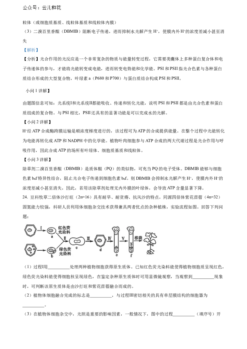 河南省新未来期末联考2023-2024学年高二下学期7月期末生物试题（解析版）_2024-2025高二（7-7月题库）_2024年07月试卷_0707河南省金科新未来2024年7月高二期末质量检测试题及答案