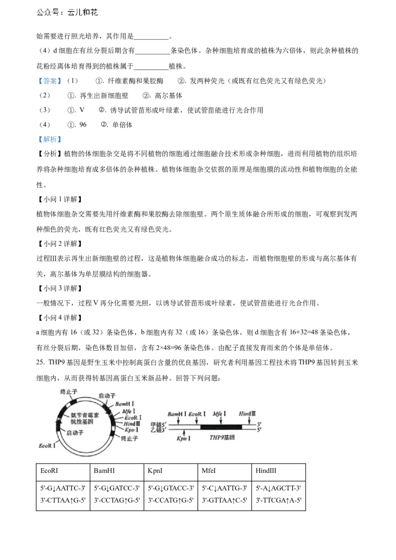 河南省新未来期末联考2023-2024学年高二下学期7月期末生物试题（解析版）_2024-2025高二（7-7月题库）_2024年07月试卷_0707河南省金科新未来2024年7月高二期末质量检测试题及答案