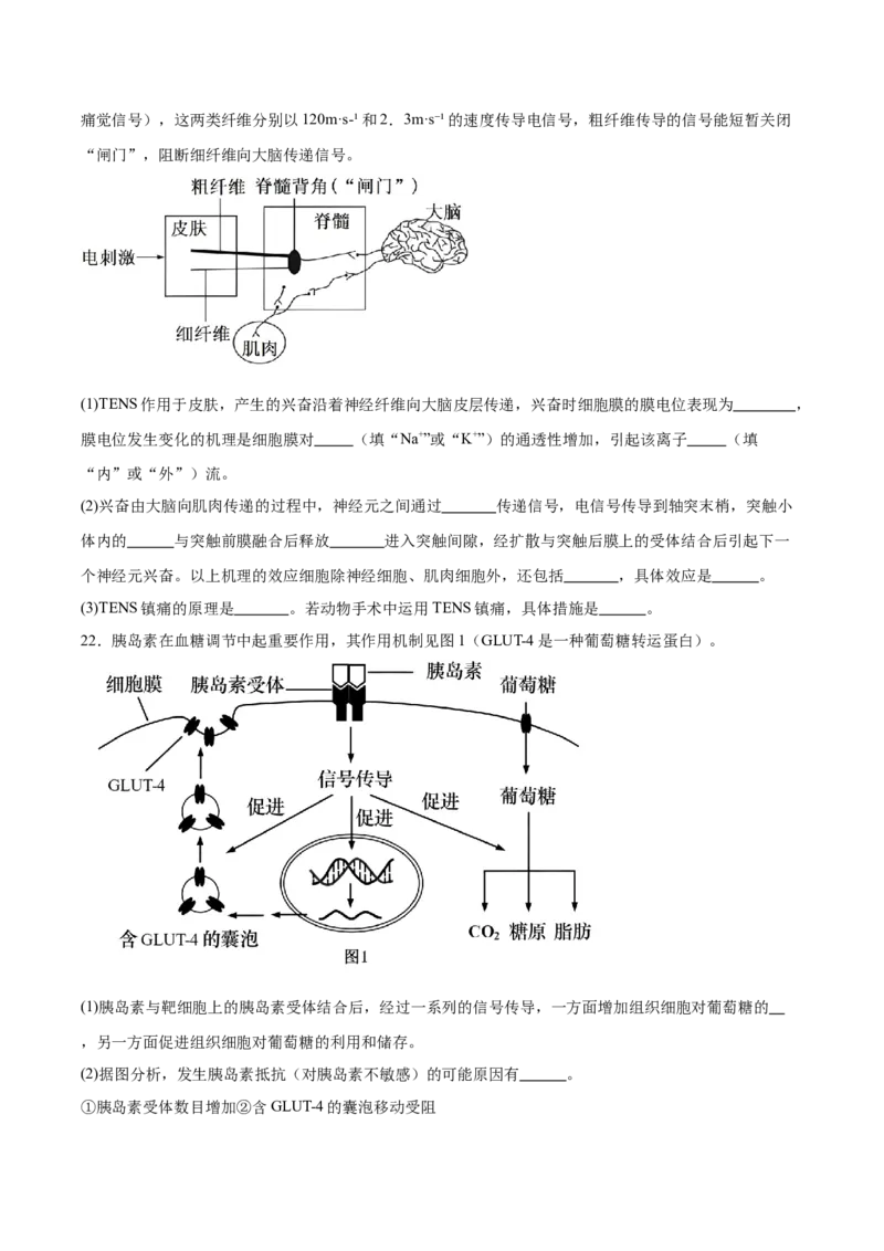 山东省泰安市2025-2026学年高二上学期期中考试生物Word版含答案_251213山东省泰安市2025-2026学年高二上学期期中考试（全）