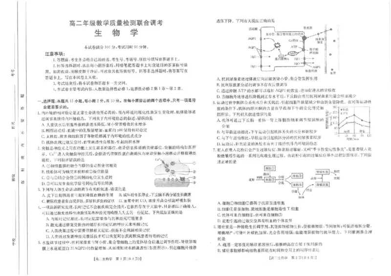 山东省大联考2024-2025学年高二上学期12月月考试题生物PDF版含解析_2024-2025高二（7-7月题库）_2024年12月试卷_1229山东省大联考2024-2025学年高二上学期12月月考