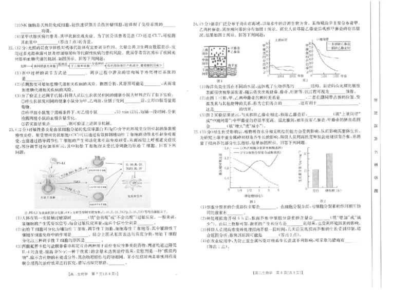 山东省大联考2024-2025学年高二上学期12月月考试题生物PDF版含解析_2024-2025高二（7-7月题库）_2024年12月试卷_1229山东省大联考2024-2025学年高二上学期12月月考
