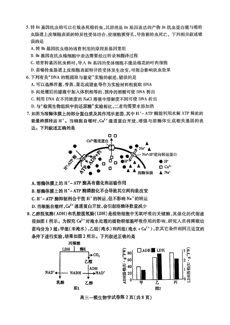 四川省内江市高三上学期第一次模拟考试生物+答案_2024-2025高三（6-6月题库）_2024年12月试卷_1209四川省内江市2025届高三上学期第一次模拟考试（全科）