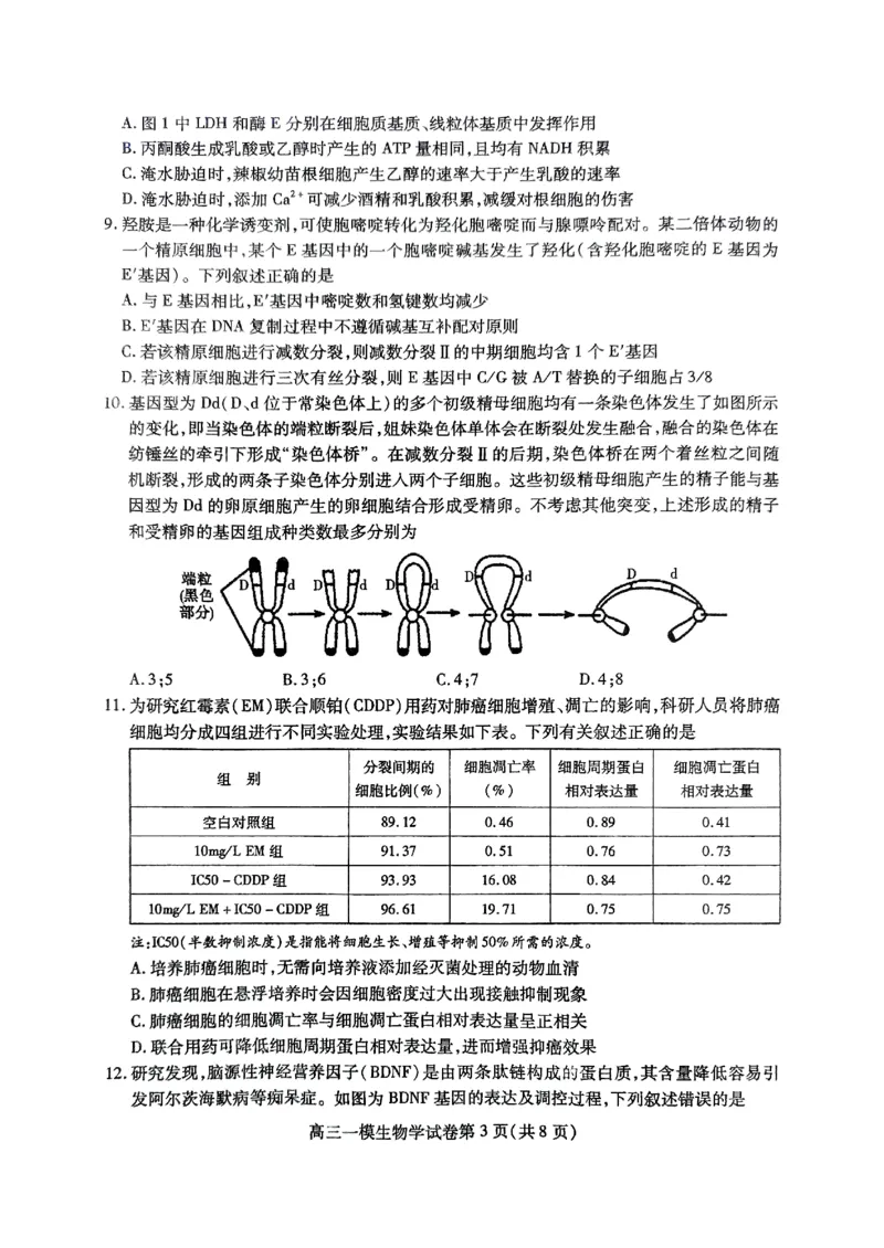 四川省内江市高三上学期第一次模拟考试生物+答案_2024-2025高三（6-6月题库）_2024年12月试卷_1209四川省内江市2025届高三上学期第一次模拟考试（全科）