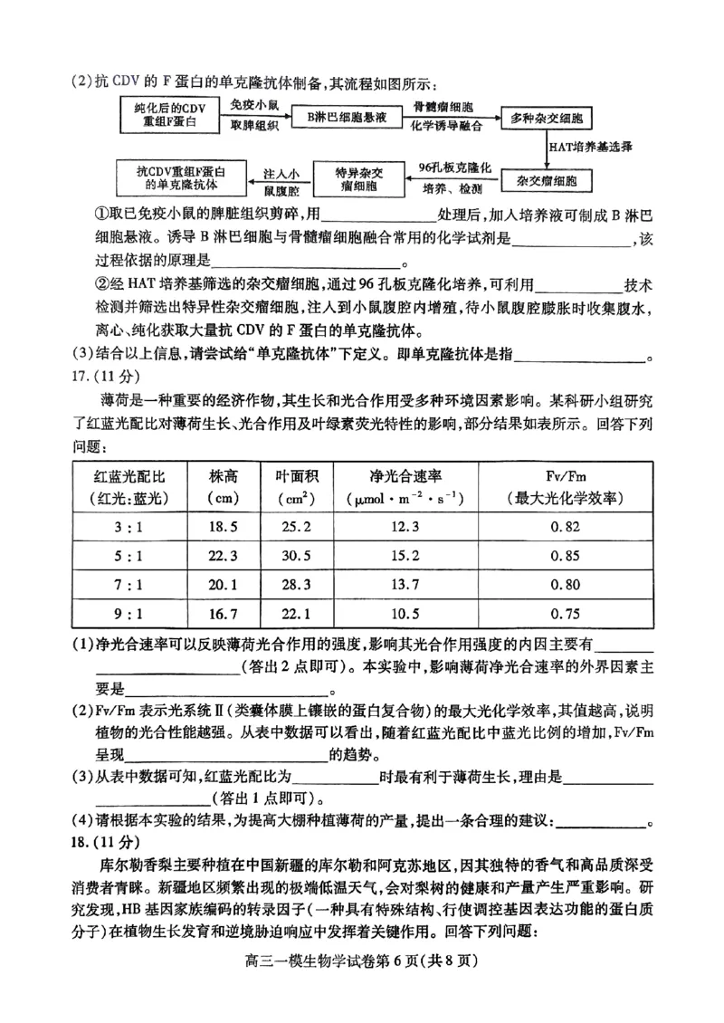 四川省内江市高三上学期第一次模拟考试生物+答案_2024-2025高三（6-6月题库）_2024年12月试卷_1209四川省内江市2025届高三上学期第一次模拟考试（全科）
