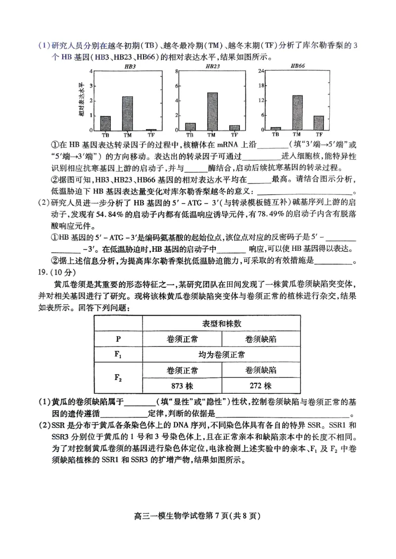 四川省内江市高三上学期第一次模拟考试生物+答案_2024-2025高三（6-6月题库）_2024年12月试卷_1209四川省内江市2025届高三上学期第一次模拟考试（全科）