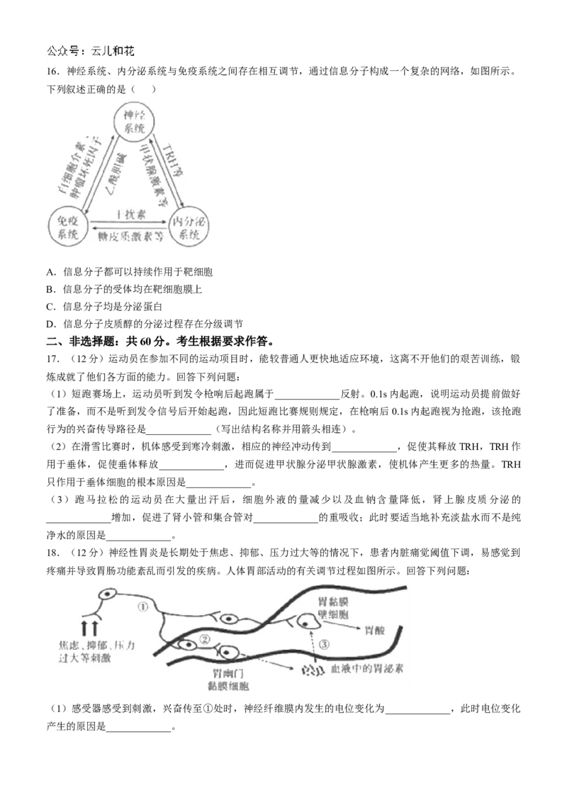 广西金太阳2024-2025学年高二上学期10月联合测试生物试题(无答案)_2024-2025高二（7-7月题库）_2024年10月试卷_1031广西金太阳2024-2025学年高二上学期10月联合测试