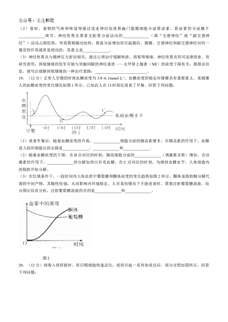 广西金太阳2024-2025学年高二上学期10月联合测试生物试题(无答案)_2024-2025高二（7-7月题库）_2024年10月试卷_1031广西金太阳2024-2025学年高二上学期10月联合测试