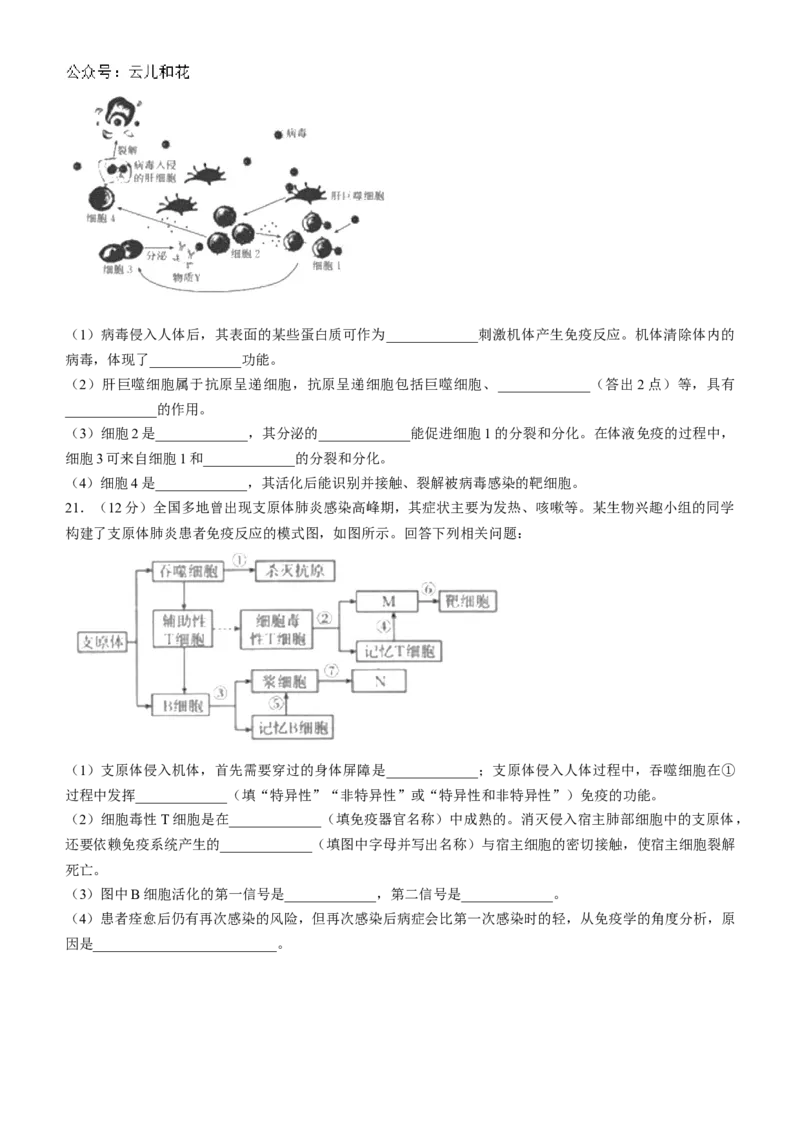 广西金太阳2024-2025学年高二上学期10月联合测试生物试题(无答案)_2024-2025高二（7-7月题库）_2024年10月试卷_1031广西金太阳2024-2025学年高二上学期10月联合测试