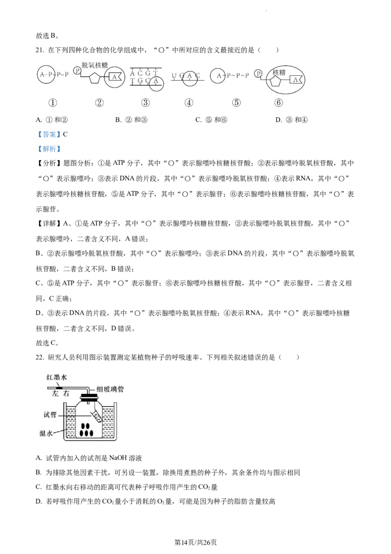 精品解析：新疆阿克苏市实验中学2023-2024学年高三上学期第三次月考生物试题（解析版）(1)_2023年11月_0211月合集_2024届新疆阿克苏市实验中学高三上学期第三次月考