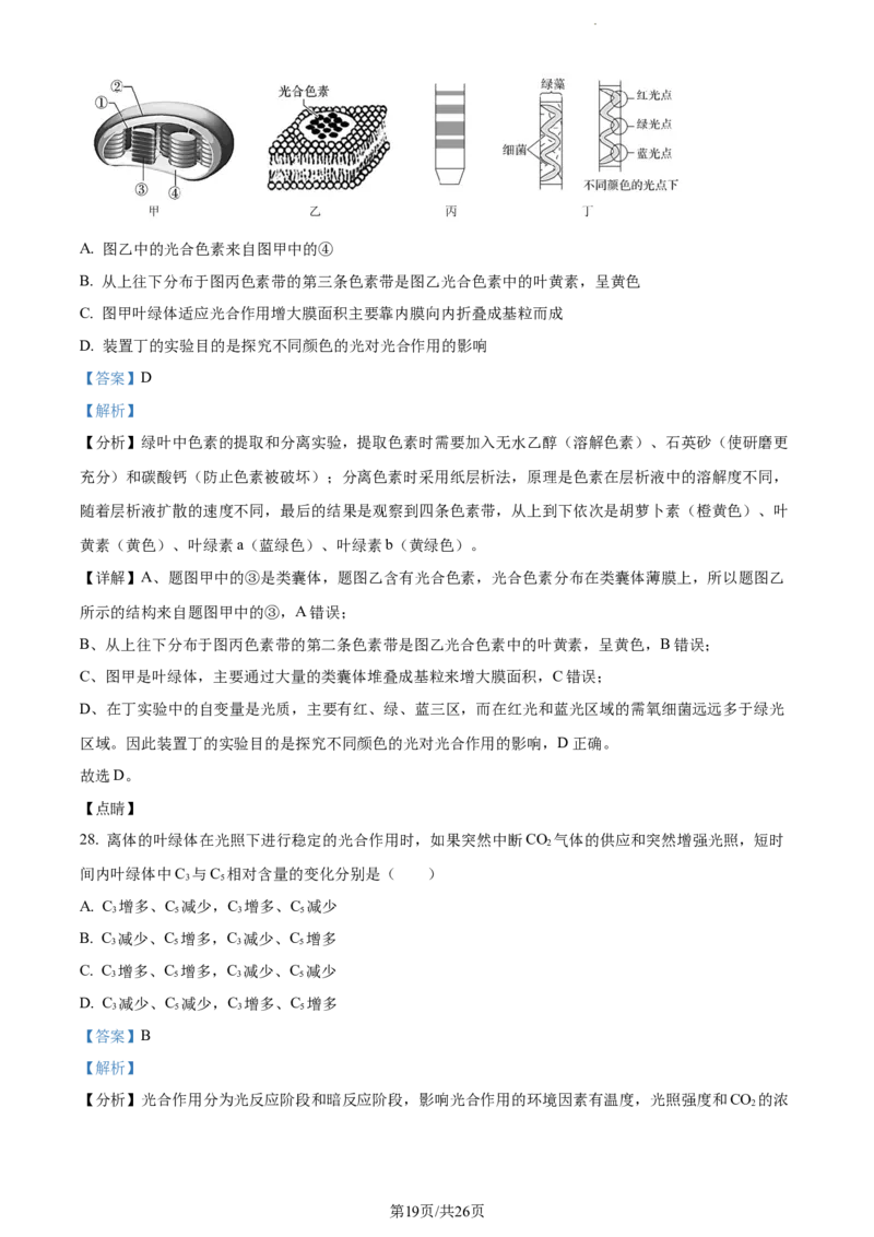 精品解析：新疆阿克苏市实验中学2023-2024学年高三上学期第三次月考生物试题（解析版）(1)_2023年11月_0211月合集_2024届新疆阿克苏市实验中学高三上学期第三次月考