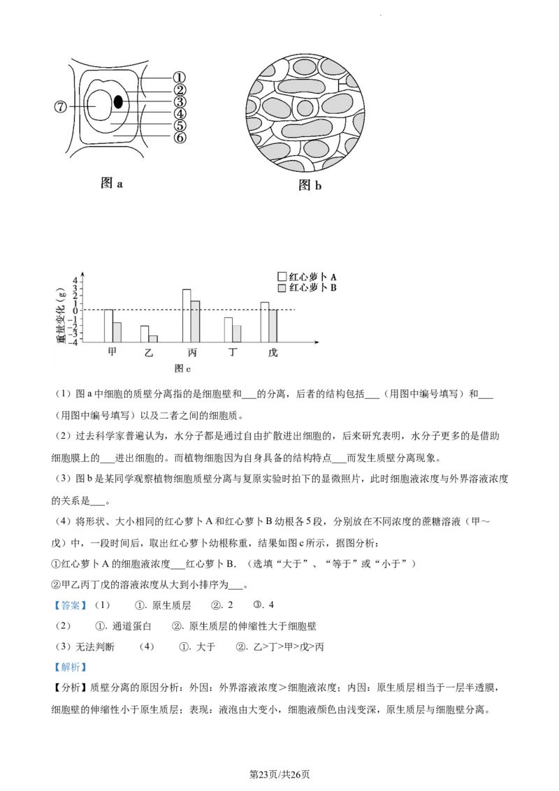 精品解析：新疆阿克苏市实验中学2023-2024学年高三上学期第三次月考生物试题（解析版）(1)_2023年11月_0211月合集_2024届新疆阿克苏市实验中学高三上学期第三次月考